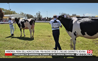 arborea fiera dell agricoltura fra nuove sfide e l incubo dermatite bovina