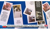 padru paese in piazza a difesa degli animali le bestie sono i violenti