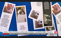 padru paese in piazza a difesa degli animali le bestie sono i violenti