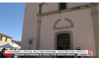 ussaramanna il festival delle erbe spontanee un attratttore turistico