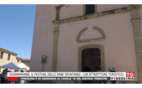 ussaramanna il festival delle erbe spontanee un attratttore turistico