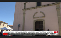 ussaramanna il festival delle erbe spontanee un attratttore turistico