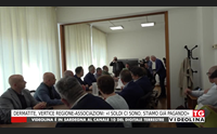 dermatite vertice regione associazioni i soldi ci sono stiamo gi pagando
