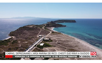 cabras depredavano l area marina dei ricci chiesti due rinvii a giudizio