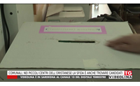 comunali nei piccoli centri dell oristanese la sfida anche trovare candidati
