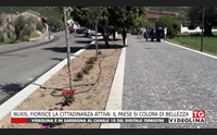 nuxis fiorisce la cittadinanza attiva il paese si colora di bellezza