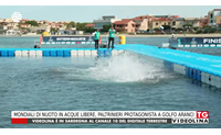 mondiali di nuoto in acque libere paltrinieri protagonista a golfo aranci