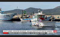 golfo aranci pescatori in rivolta no alle quote di cattura dei gamberi