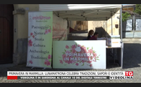 primavera in marmilla lunamatrona celebra tradizioni sapori e identit