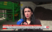 alghero trattamento posidonia spiaggiata in funzione l impianto di san marco