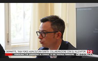 dermatite task force agricoltura sanit collaborazione con gli allevatori