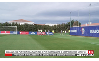 cagliari un punto per la salvezza e per ricominciare il campionato di serie a