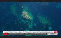 progetto artemis a capo testa punta falcone rinasce la posidonia