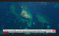progetto artemis a capo testa punta falcone rinasce la posidonia