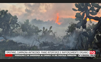 oristano campagna antincendi piano interforze e rafforzamento organici