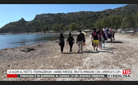 le alghe al poetto federalberghi vanno rimosse brutta immagine con l america s cup