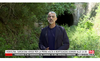 videolina sardegna verde per la prima volta a bortigiadas domani alle 13 30