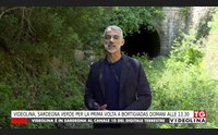 videolina sardegna verde per la prima volta a bortigiadas domani alle 13 30