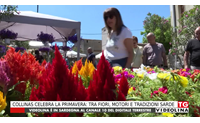 collinas celebra la primavera tra fiori motori e tradizioni sarde