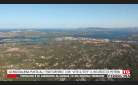 la maddalena punta all enoturismo con vite vite il ricordo di petrini
