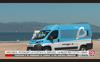 amicobus potenziati la flotta e il servizio 14 mezzi per tutto l anno