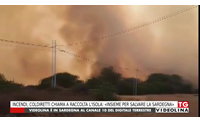 incendi coldiretti chiama a raccolta l isola insieme per salvare la sardegna