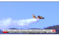 incendi coldiretti chiama a raccolta l isola insieme per salvare la sardegna