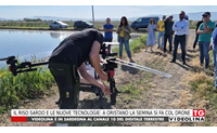 il riso sardo e le nuove tecnologie a oristano la semina si fa col drone