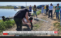 il riso sardo e le nuove tecnologie a oristano la semina si fa col drone