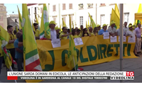 prodotti stranieri e bassa qualit coldiretti in trincea per l olio extravergine e il grano