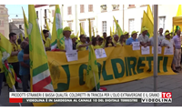 prodotti stranieri e bassa qualit coldiretti in trincea per l olio extravergine e il grano