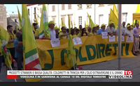 prodotti stranieri e bassa qualit coldiretti in trincea per l olio extravergine e il grano