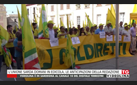 prodotti stranieri e bassa qualit coldiretti in trincea per l olio extravergine e il grano