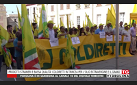 prodotti stranieri e bassa qualit coldiretti in trincea per l olio extravergine e il grano