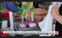 san giovanni suergiu la sagra della cipolla tra biodiversit e cultura