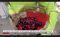 villanova tulo celebra la sua ciliegia una festa che unisce generazioni