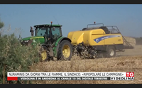 nuraminis da giorni tra le fiamme il sindaco ripopolare le campagne