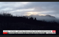 sassari custodes parte dall isola la sfida contro la desertificazione