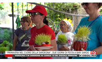 primavera nel cuore della sardegna due giorni di festa a bari sardo