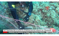 reti fantasma nelle acque di la maddalena recuperate dai carabinieri