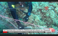 reti fantasma nelle acque di la maddalena recuperate dai carabinieri