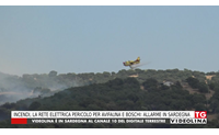 incendi la rete elettrica pericolo per avifauna e boschi allarme in sardegna