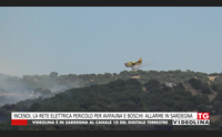 incendi la rete elettrica pericolo per avifauna e boschi allarme in sardegna