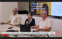 dialoghi di archeologia essenze vegetali mediterranee tra canaan e l isola