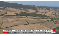 caldo record ancora allerta nuova bolla di calore dopo la tregua
