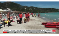 marinella sorvegliata speciale in campo bagnini e cani da salvamento