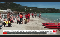 marinella sorvegliata speciale in campo bagnini e cani da salvamento