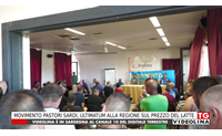 movimento pastori sardi ultimatum alla regione sul prezzo del latte