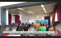 movimento pastori sardi ultimatum alla regione sul prezzo del latte