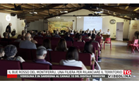 il bue rosso del montiferru una filiera per rilanciare il territorio